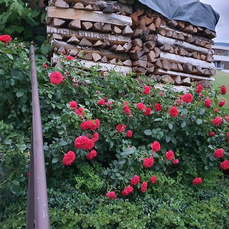 Apartament Dreamlandranch Vorarlberg Schlins Zewnętrze zdjęcie