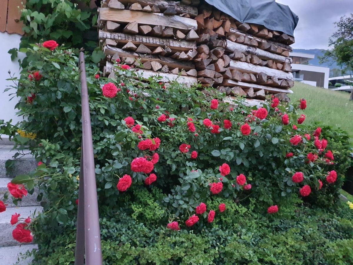 Apartament Dreamlandranch Vorarlberg Schlins Zewnętrze zdjęcie