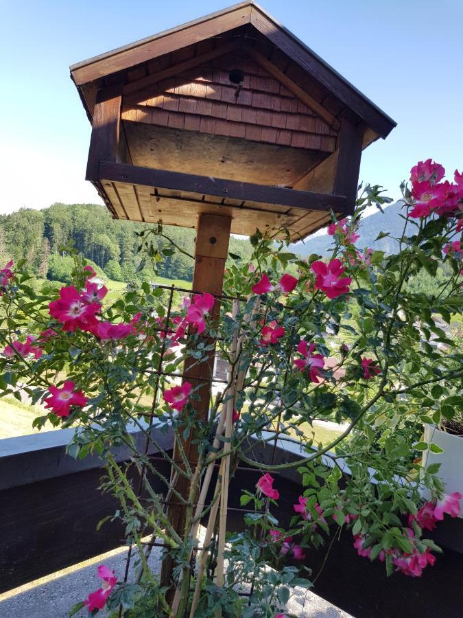 Apartament Dreamlandranch Vorarlberg Schlins Zewnętrze zdjęcie